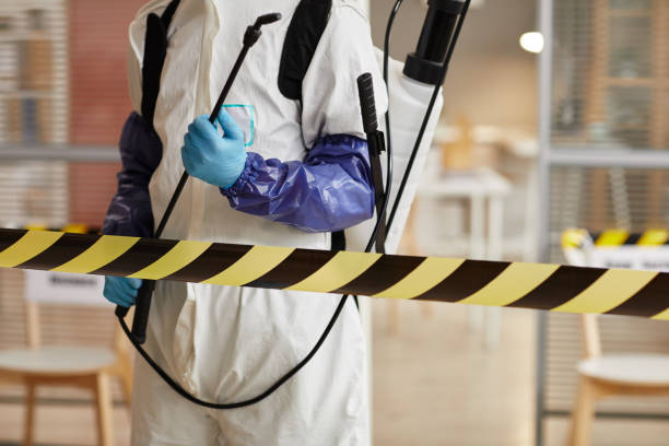 Professional Sewage Cleanup technician working in Nutley, NJ